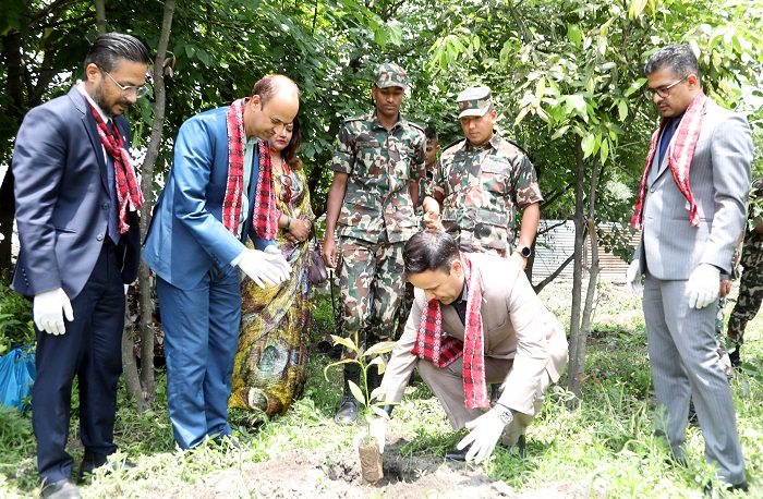 ग्लोबल आइएमई बैंकद्वारा देश व्यापीरुपमा वृहत् बृक्षारोपण कार्यक्रम आयोजना 